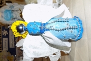DSCN5976