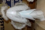 DSCN5991