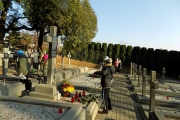 DSCN8111