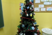 DSCN8734