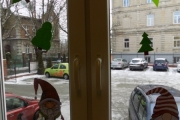 DSCN8749