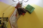DSCN8762