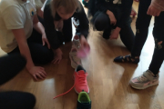 IMG_20221129_113418