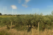 DSCN1219