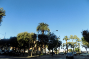 DSCN1243