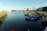 DSCN1251