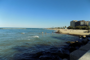 DSCN1429