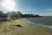 DSCN1465