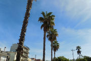 DSCN1538