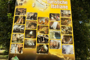 DSCN1558