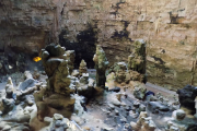 DSCN1575
