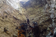 DSCN1597