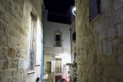 DSCN1754