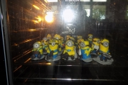 DSCN0244