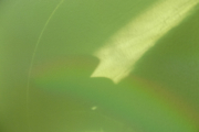 DSCN1265