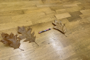 IMG_20231025_084212948