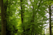DSCN5382