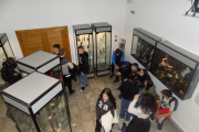 DSCN5559