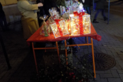 DSCN8811