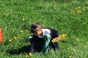 image0000001n