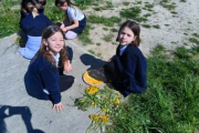 image0000031f