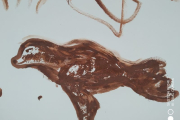 malowidla-2