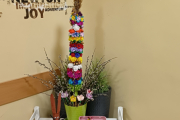 IMG20240314144934
