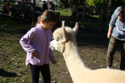 DSC06694