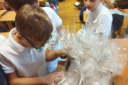 IMG_20251009_085646