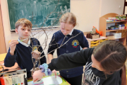 IMG_20250203_140835