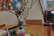 IMG_20250203_141411