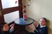 IMG_20250203_143854