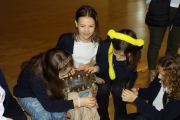DSCN0241