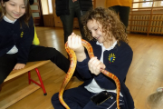 DSCN0265