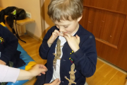 DSCN0337