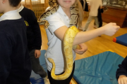 DSCN0380