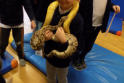 DSCN0382