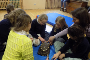 DSCN0409