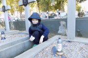 DSCN3003