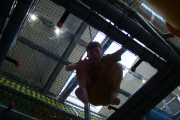 DSC07176