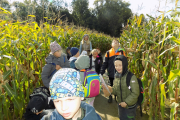 DSCN2721