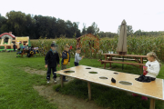 DSCN2739