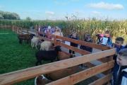 IMG_20251002_095616