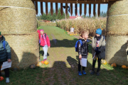 IMG_20251002_110259