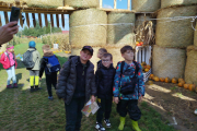 IMG_20251002_110311