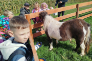 IMG_20251002_114628
