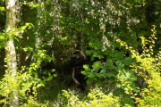 DSCN2181