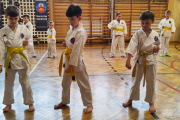 IMG_20260424_165453