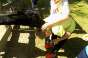 DSCN0311