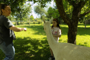 DSCN0321
